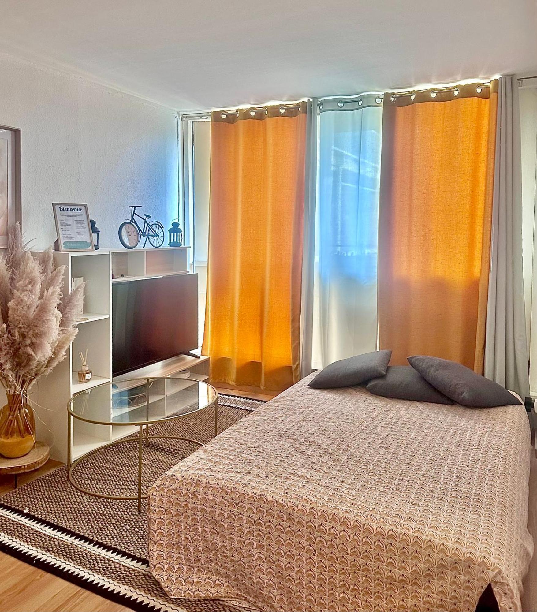 Le Saint Jaumes Parking Inclus Apartment Montpellier